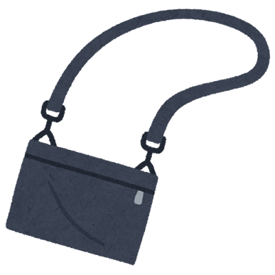 fashion_bag_sacoche.png